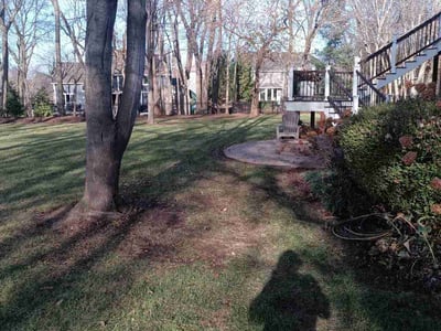 Lawn Care service in Waterloo, 64097