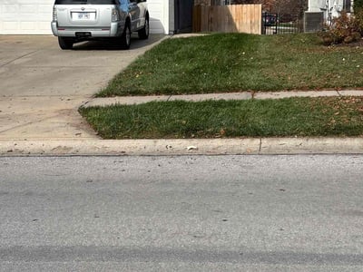 Leaf Removal service in Overland Park, 66204