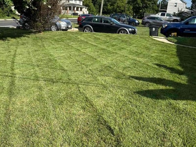 Lawn Care service in District Heights, 20747