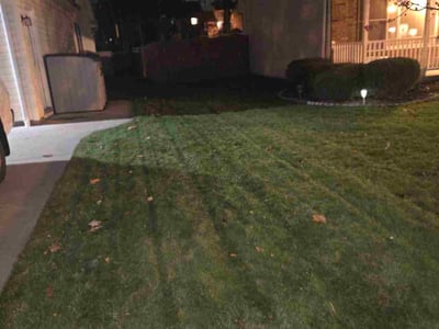 Leaf Removal service in Erie, 16507