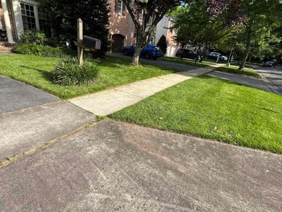 Lawn Care service in Montgomery Village, 20886