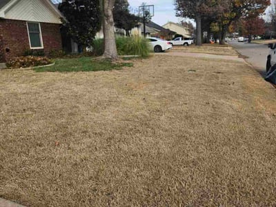 Leaf Removal service in Yukon, 73099
