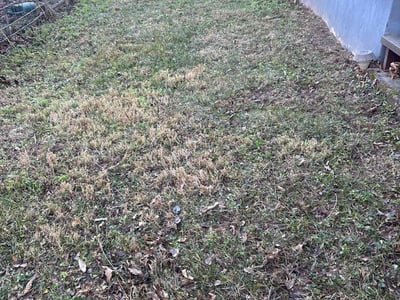 Leaf Removal service in Yukon, 73099