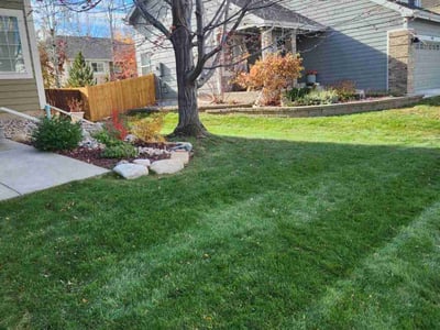 Leaf Removal service in Fort Collins, 80521