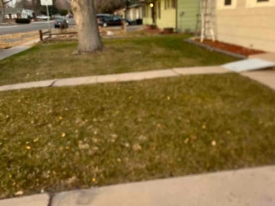 Leaf Removal service in Fort Collins, 80521