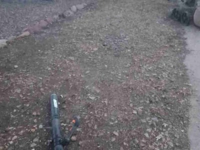 Leaf Removal service in Fort Collins, 80521