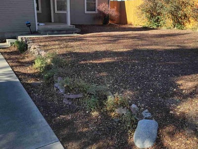 Leaf Removal service in Fort Collins, 80521