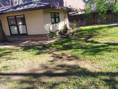 Leaf Removal service in Temple, 76501