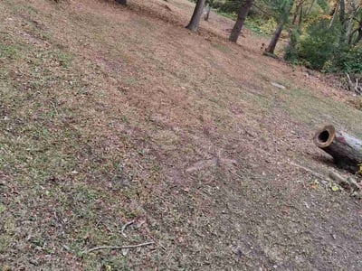 Leaf Removal service in Erie, 16507