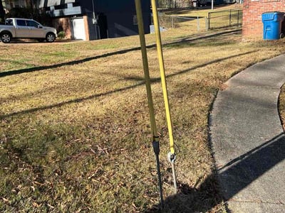 Leaf Removal service in Chelsea, 35043