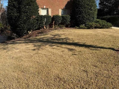 Leaf Removal service in Chelsea, 35043