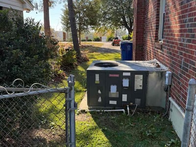 Leaf Removal service in Goose Creek, 29445