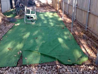 Leaf Removal service in Denton, 76201