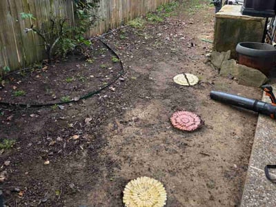 Leaf Removal service in Denton, 76201