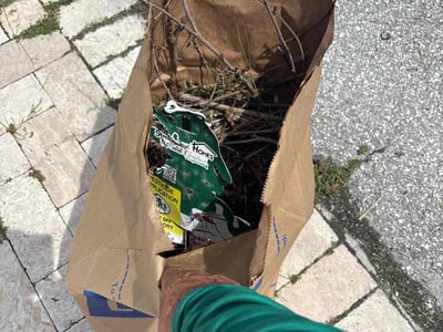 Leaf Removal service in Cape Coral, 33904