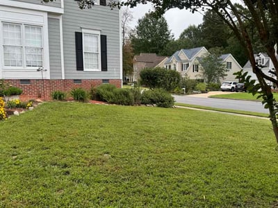 Lawn Care service in Ridgefield, 98642