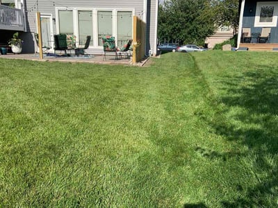 Lawn Care service in Independence, 64050