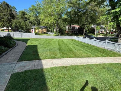 Lawn Care service in Silver Spring, 20910