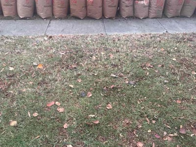 Leaf Removal service in Yukon, 73099