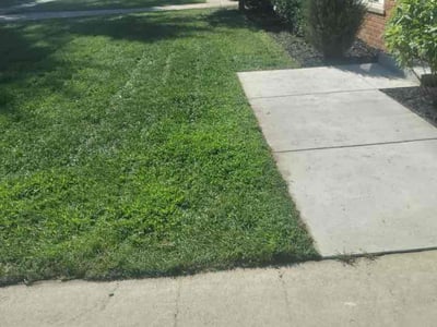 Leaf Removal service in Waterford, 48329