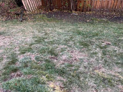 Leaf Removal service in Waterford, 48329