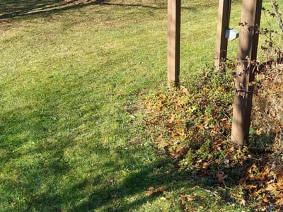 Leaf Removal service in Waterford, 48329