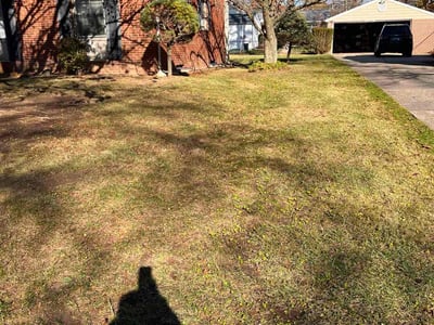 Leaf Removal service in Waterford, 48329