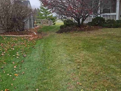 Leaf Removal service in Wausau, 54403