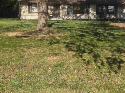 Leaf Removal service in Wausau, 54403