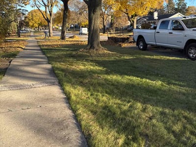 Leaf Removal service in Wausau, 54403