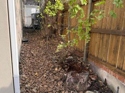 Leaf Removal service in Temple, 76501