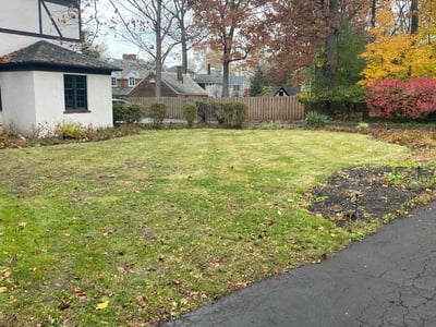 Leaf Removal service in Parma, 44129