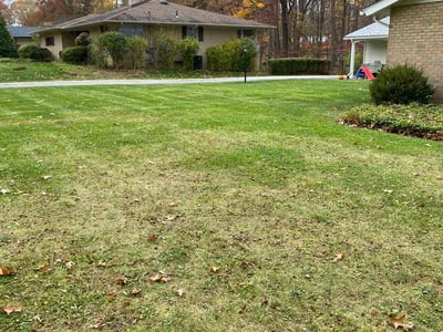 Leaf Removal service in Parma, 44129