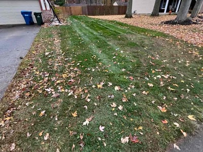 Leaf Removal service in Parma, 44129