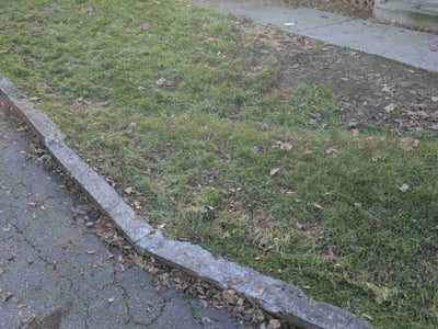 Leaf Removal service in Irondequoit, 14617