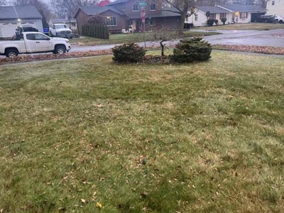 Leaf Removal service in Irondequoit, 14617