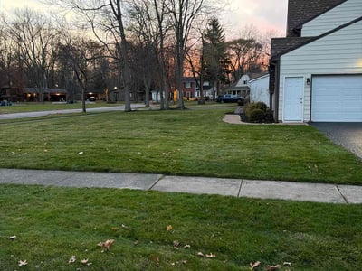 Leaf Removal service in Irondequoit, 14617