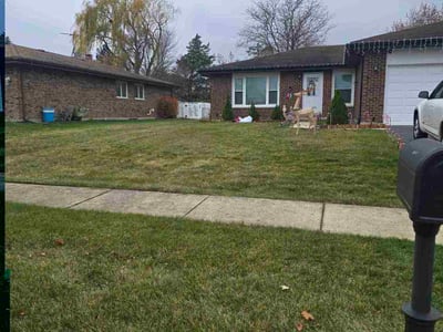 Leaf Removal service in Irondequoit, 14617