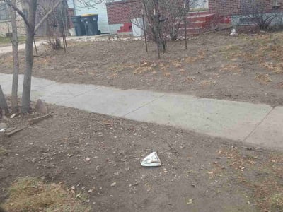 Leaf Removal service in Fort Collins, 80521