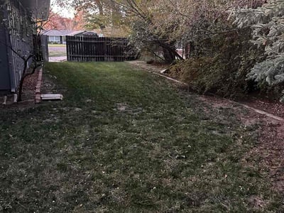 Leaf Removal service in Fort Collins, 80521
