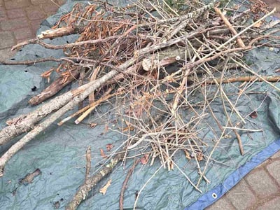 Leaf Removal service in Goose Creek, 29445