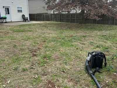 Leaf Removal service in Goose Creek, 29445
