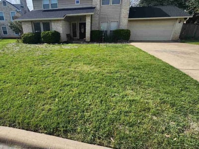 Lawn Care service in Del Valle, 78617