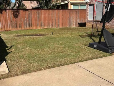 Leaf Removal service in Denton, 76201