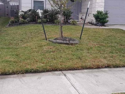 Lawn Care service in Issaquah, 98027