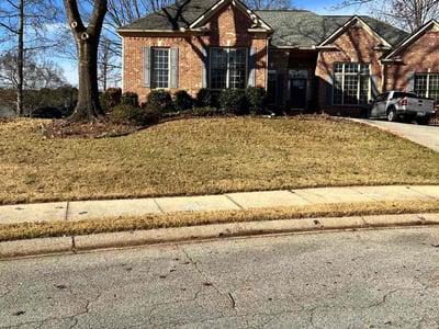 Leaf Removal service in Warner Robins, 31088
