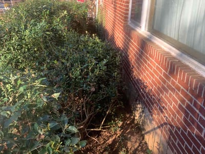 Leaf Removal service in Warner Robins, 31088