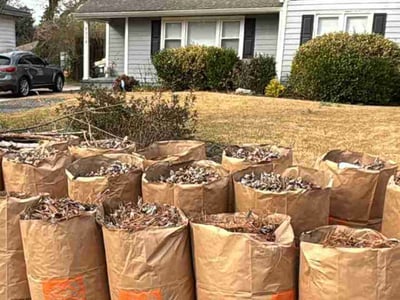 Leaf Removal service in Warner Robins, 31088
