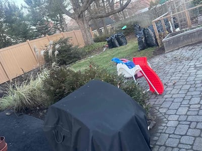 Leaf Removal service in Troy, 12180
