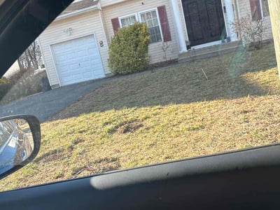 Leaf Removal service in Troy, 12180